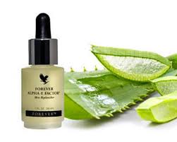 Aloe Blossom Herbal Tea: Best for Digestion and Sleep